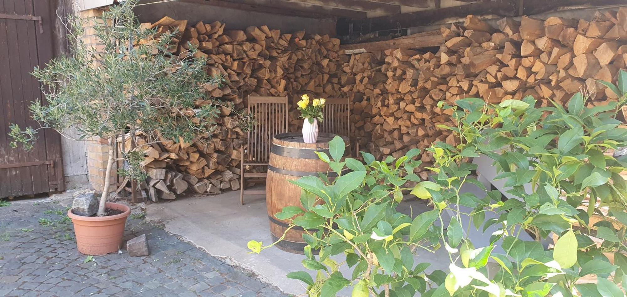 Gaestehaus Ringhof Florsheim-Dalsheim Екстериор снимка